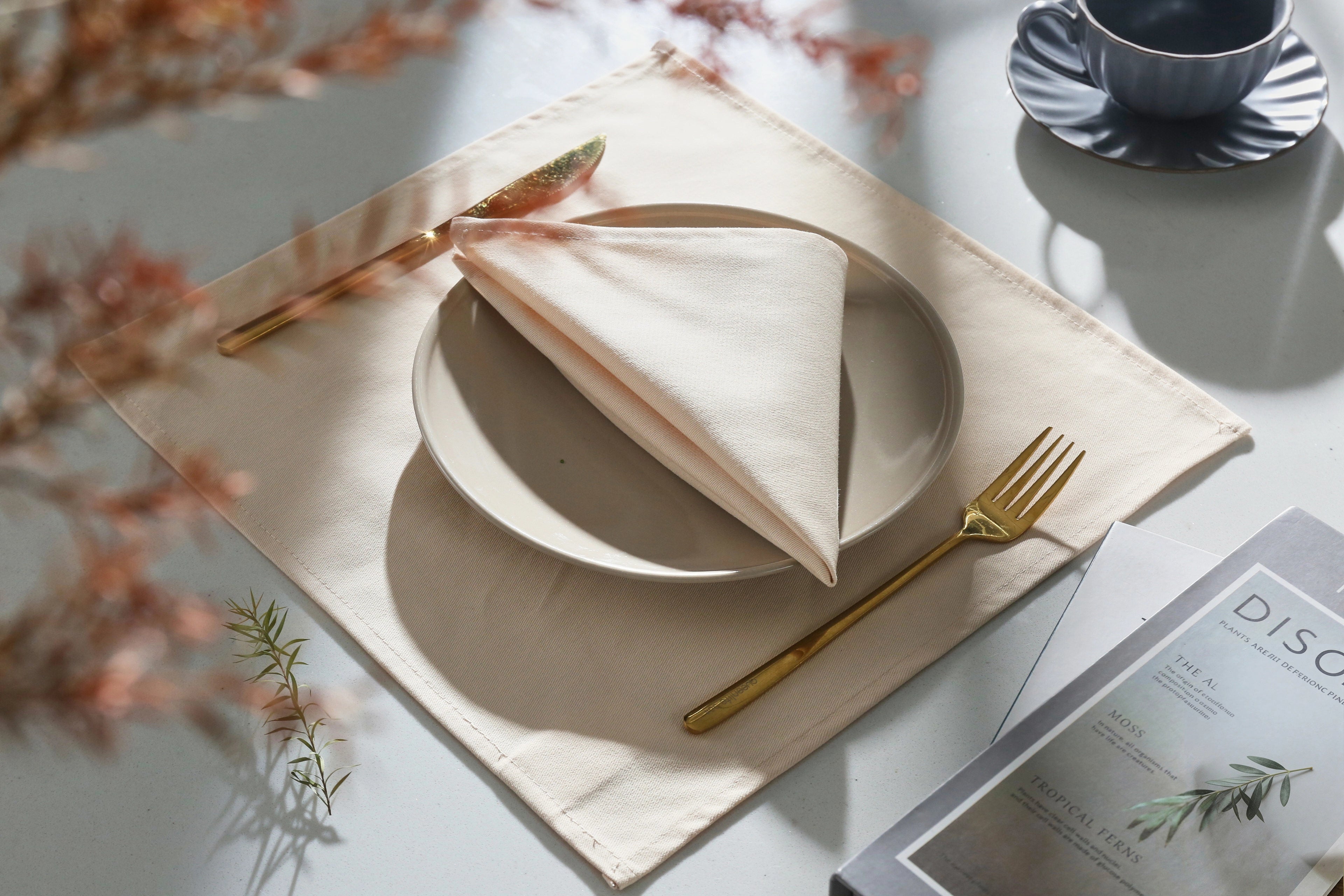 cotton-placemat-beige-1